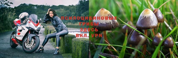 скорость Арсеньев